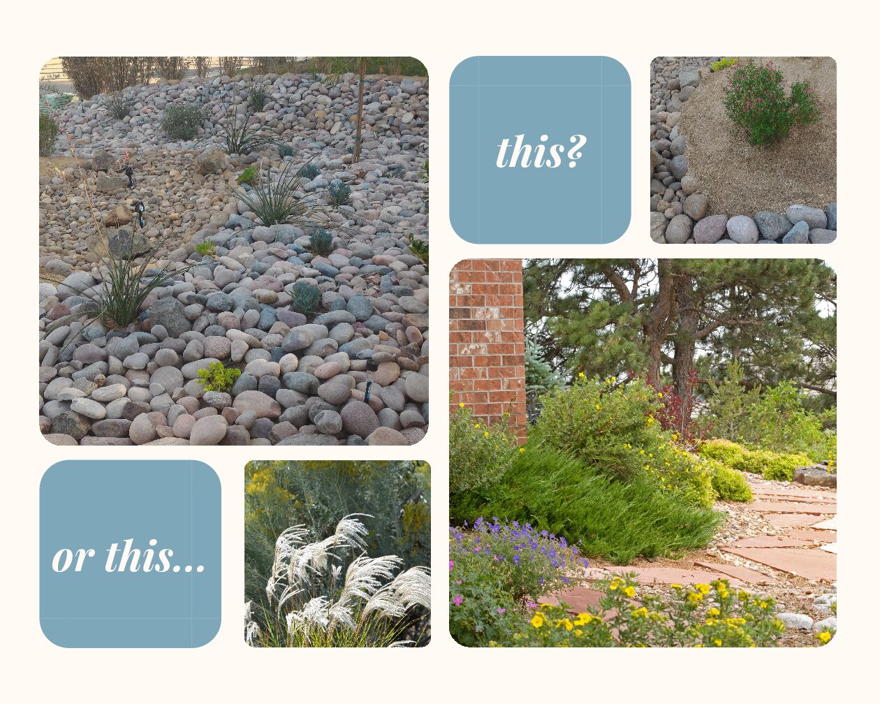 Xeriscape or Zero-scape?